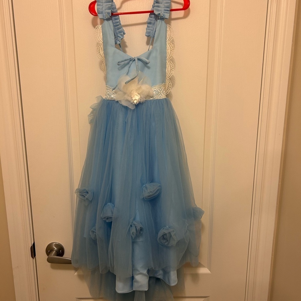 Elegant Blue Tulle Dress with Floral Accents - Picture 2 of 7